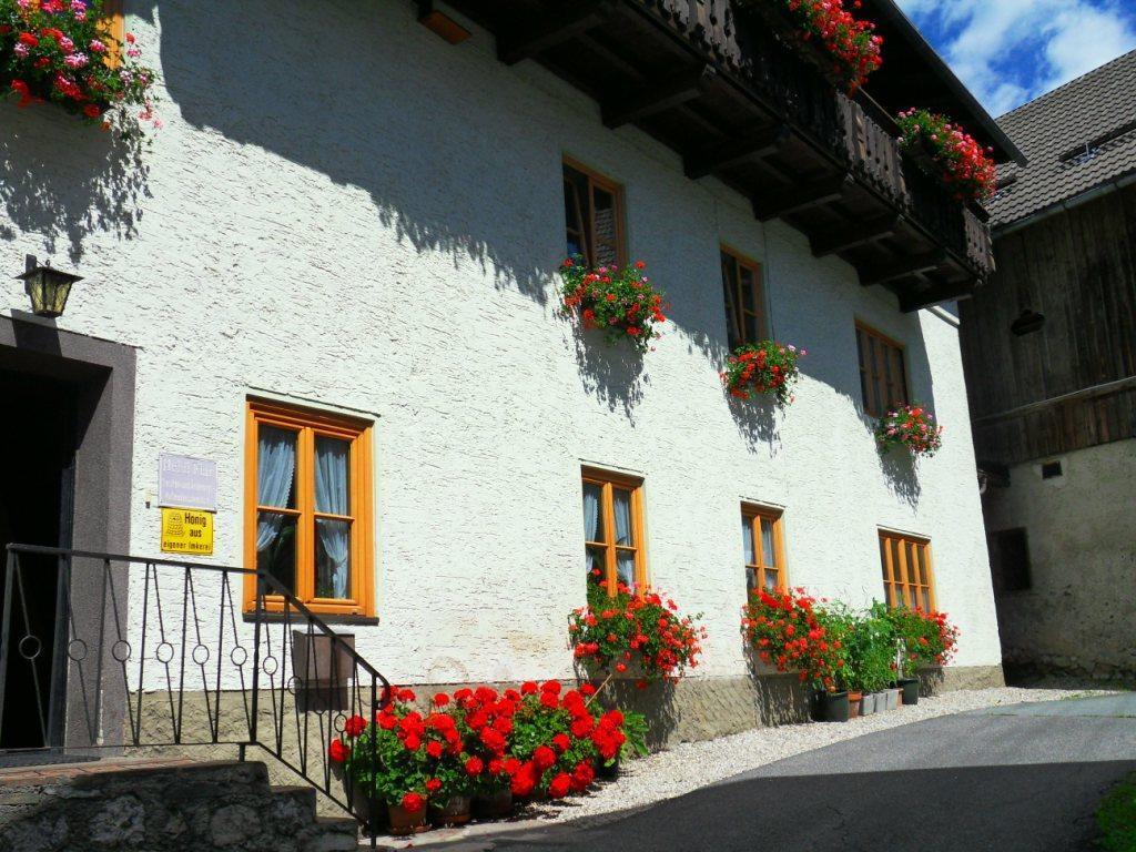 Haus Waldblick Lägenhet Weissensee Exteriör bild