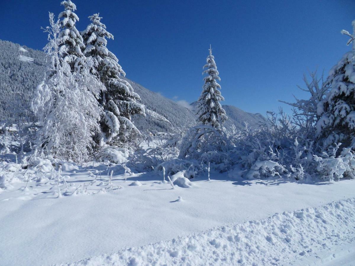 Haus Waldblick Lägenhet Weissensee Exteriör bild